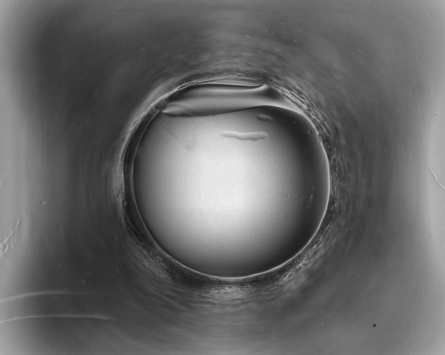 X0000093720198200710161104