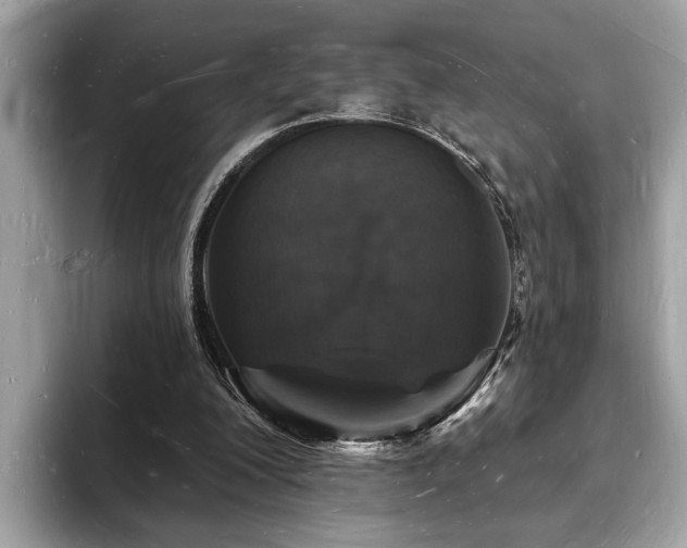 X0000093720200200710161104