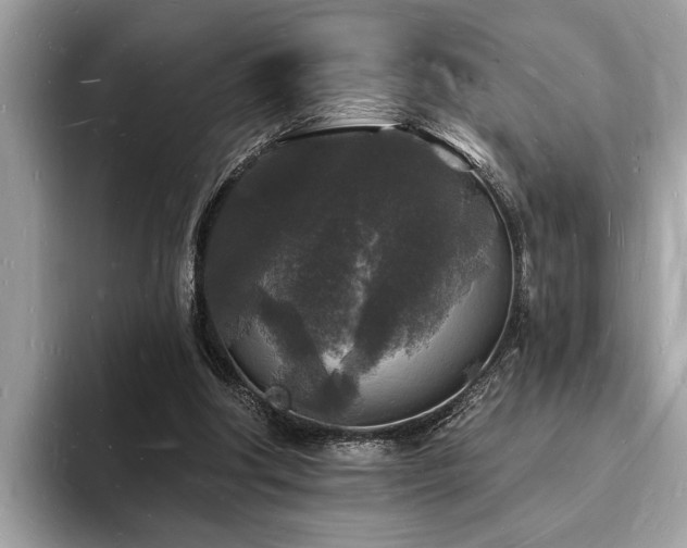 X0000093720202200710161104