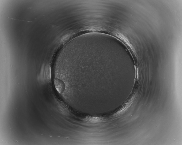 X0000093720205200710161104