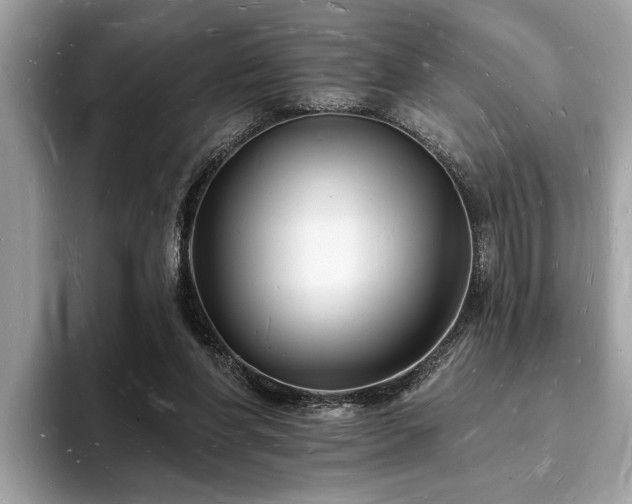 X0000093720206200710161104