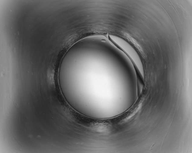 X0000093720209200710161104