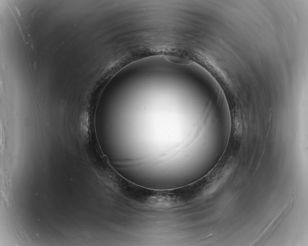 X0000093720211200710161104