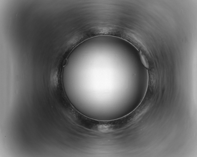 X0000093720216200710161104