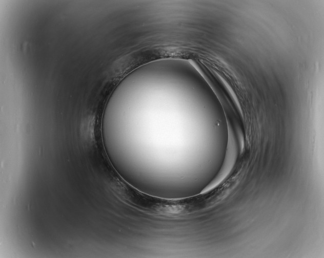 X0000093720217200710161104