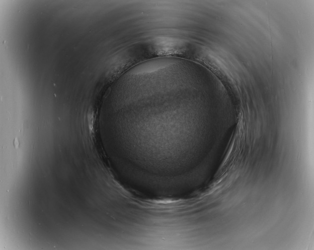 X0000093720219200710161104