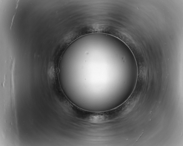 X0000093720220200710161104