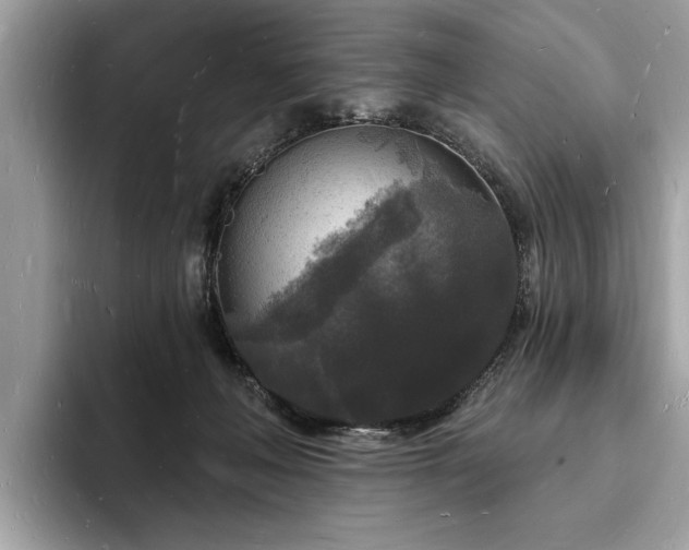 X0000093720222200710161104