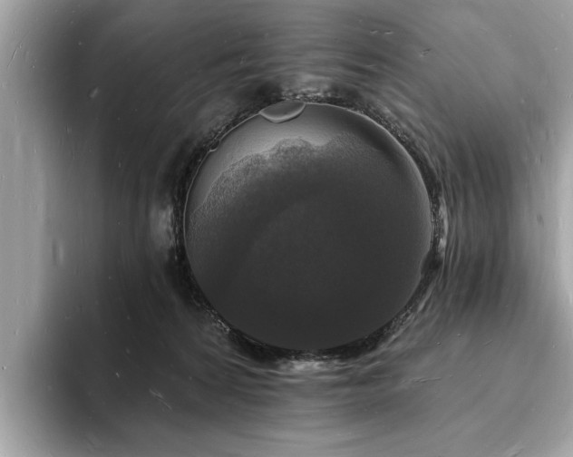 X0000093720224200710161104
