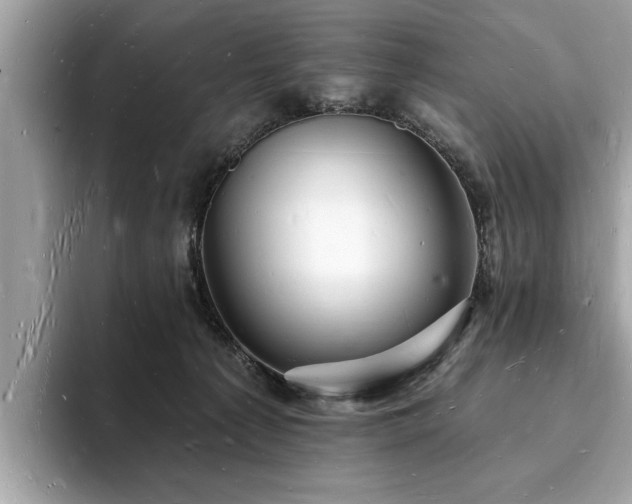 X0000093720225200710161104