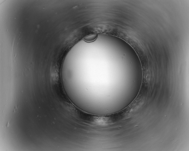 X0000093720226200710161104
