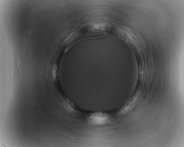 X0000093720231200710161104