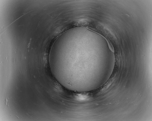 X0000093720232200710161104