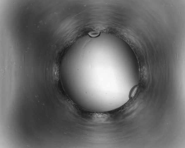 X0000093720234200710161104