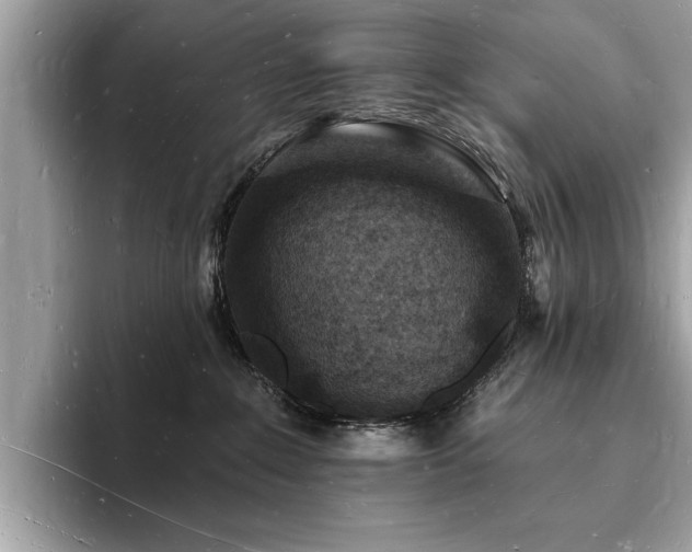 X0000093720235200710161104