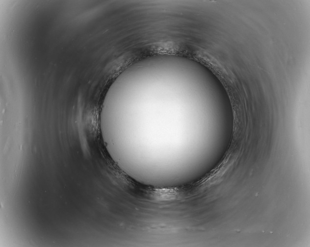 X0000093720240200710161104