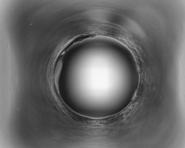 X0000093720241200710161103