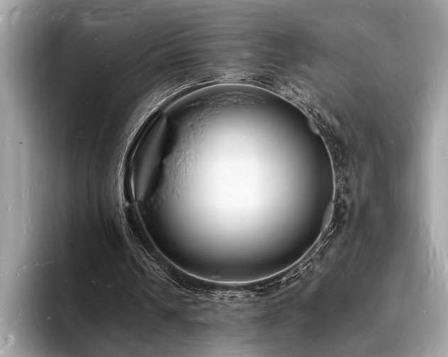 X0000093720242200710161103