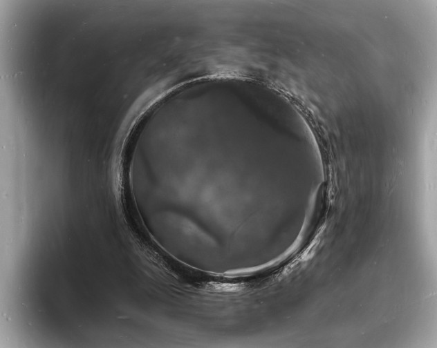 X0000093720247200710161103