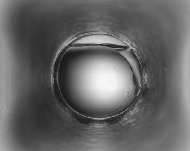 X0000093720248200710161103