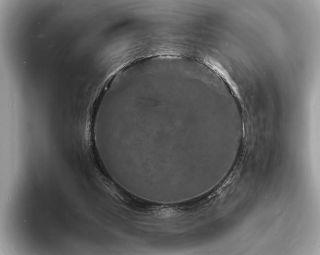 X0000093720249200710161103