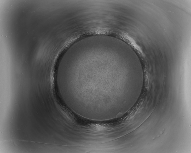 X0000093720250200710161103