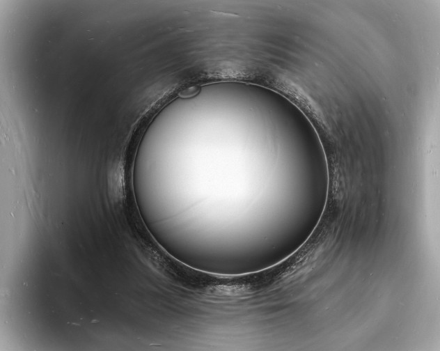 X0000093720251200710161103
