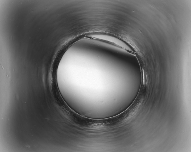 X0000093720252200710161103