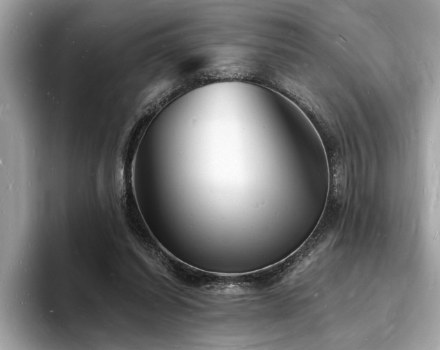 X0000093720254200710161103