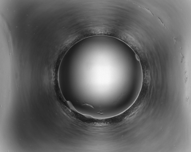 X0000093720255200710161103