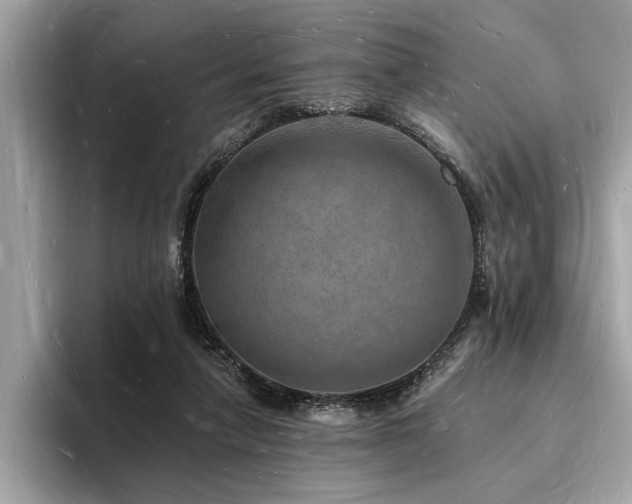 X0000093720258200710161103