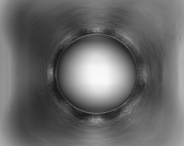 X0000093720262200710161103
