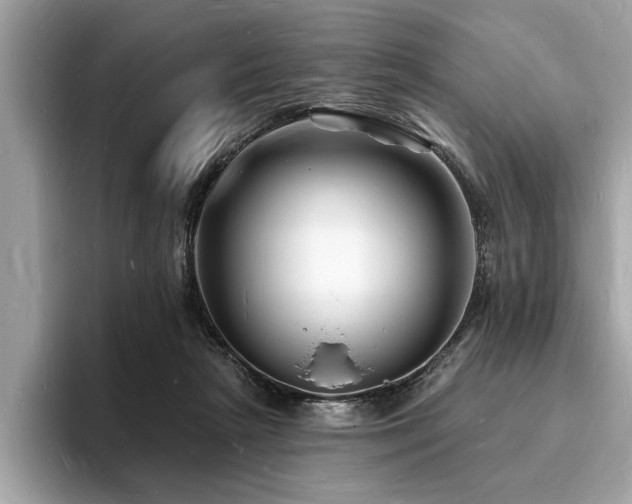 X0000093720265200710161103