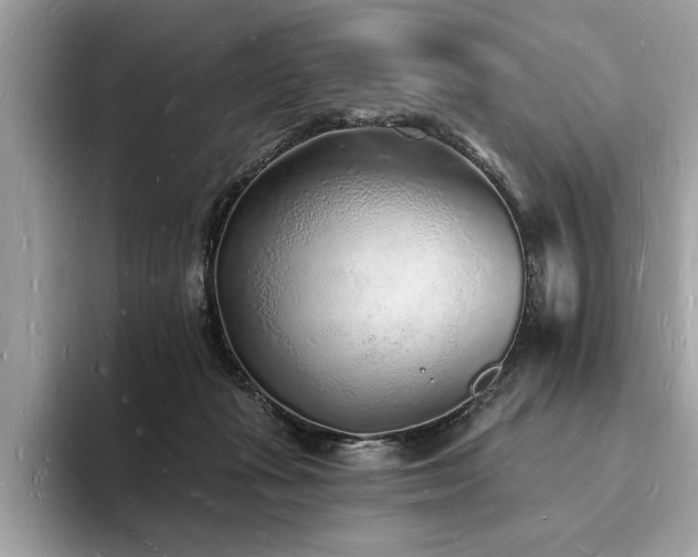 X0000093720269200710161104