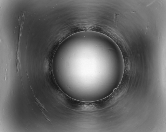 X0000093720270200710161104