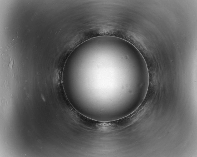 X0000093720273200710161104