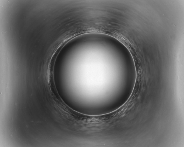 X0000093720290200710161103