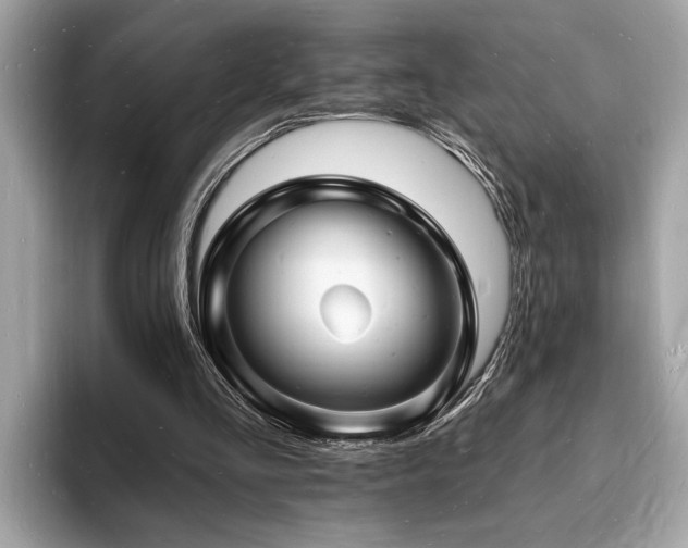 X0000093720293200710161103