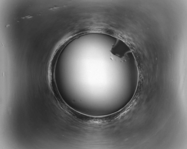 X0000093720294200710161103
