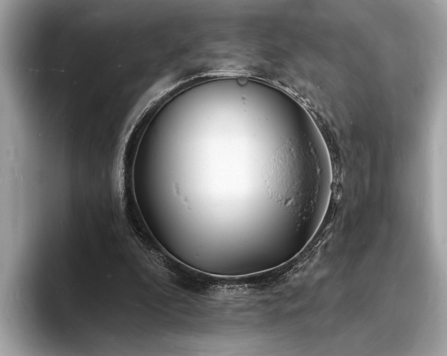 X0000093720296200710161103
