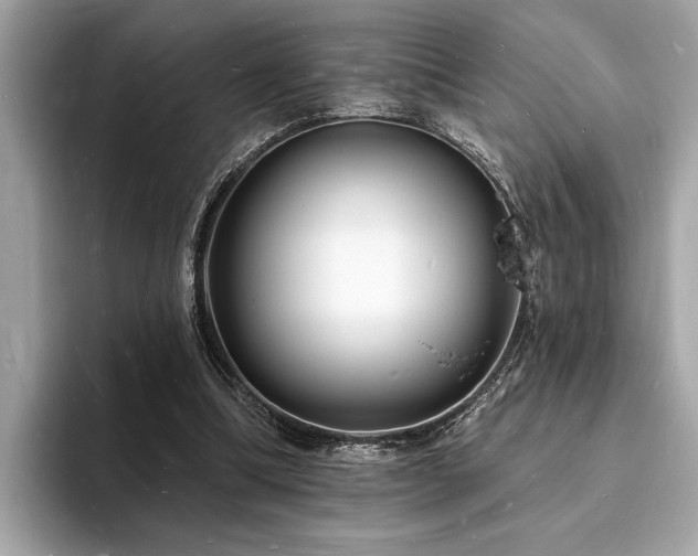 X0000093720298200710161103