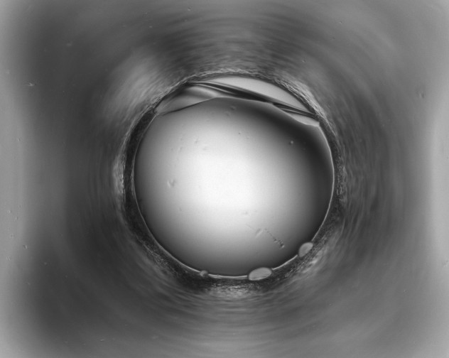 X0000093720299200710161103