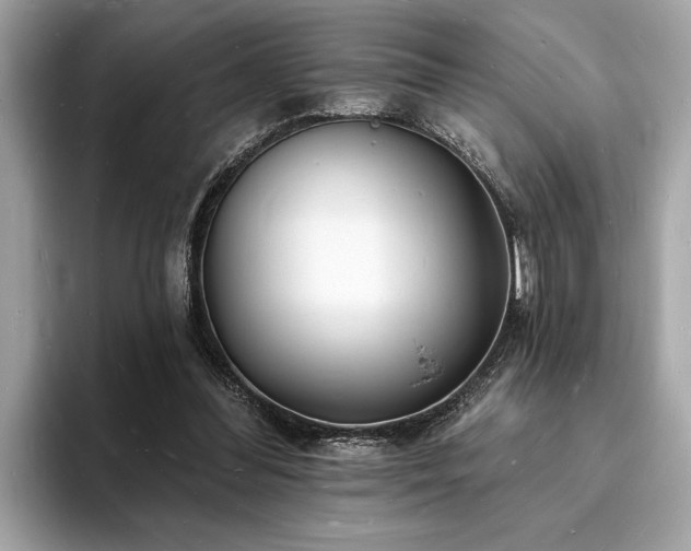 X0000093720300200710161103