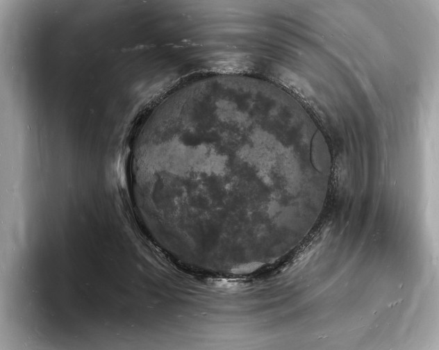 X0000093720303200710161103