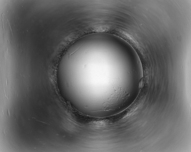 X0000093720307200710161103