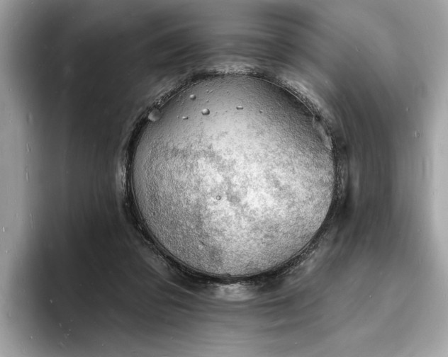 X0000093720309200710161103