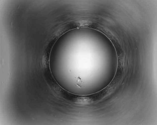 X0000093720316200710161103
