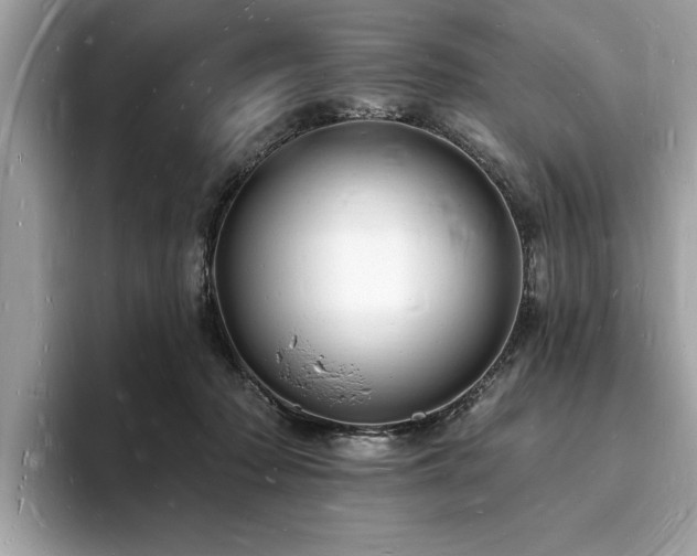 X0000093720318200710161103