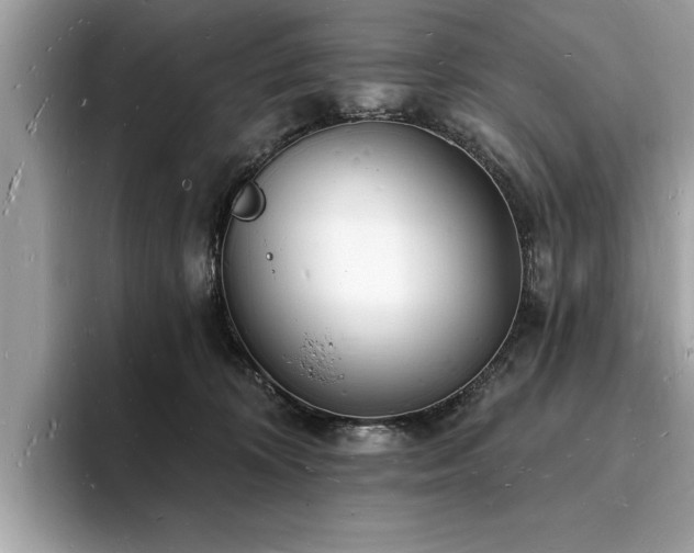 X0000093720324200710161103