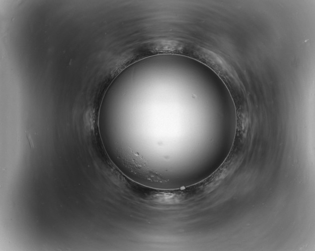 X0000093720326200710161103